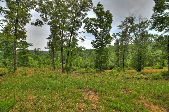 3.20 ac Hidden Acres, Blue Ridge, GA 30513