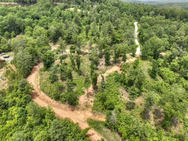 3.20 ac Hidden Acres, Blue Ridge, GA 30513