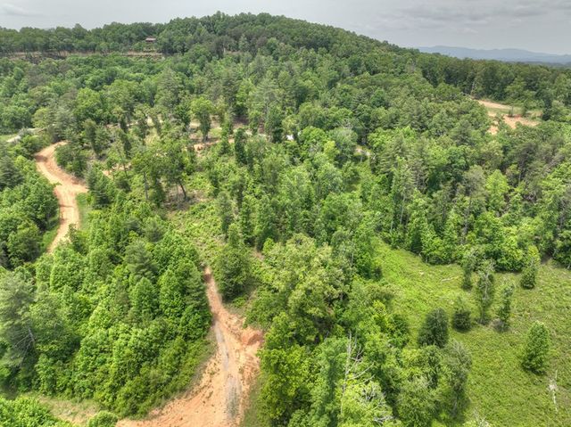 3.20 ac Hidden Acres, Blue Ridge, GA 30513