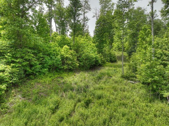 3.20 ac Hidden Acres, Blue Ridge, GA 30513