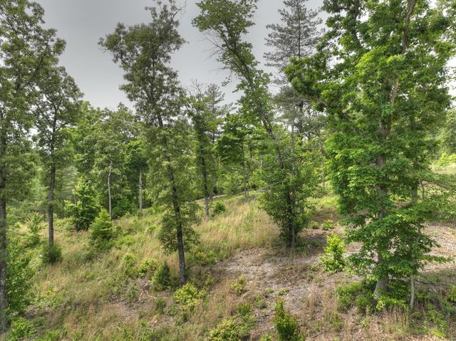 3.20 ac Hidden Acres, Blue Ridge, GA 30513