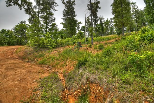 3.20 ac Hidden Acres, Blue Ridge, GA 30513