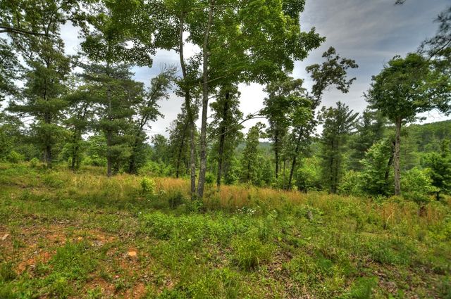 3.20 ac Hidden Acres, Blue Ridge, GA 30513