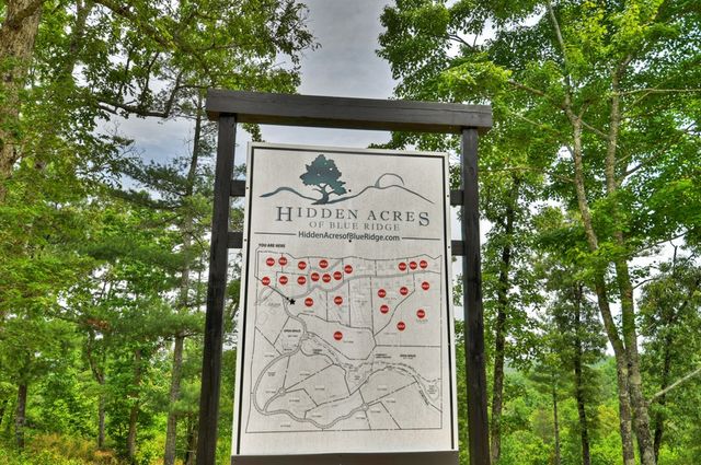 3.20 ac Hidden Acres, Blue Ridge, GA 30513