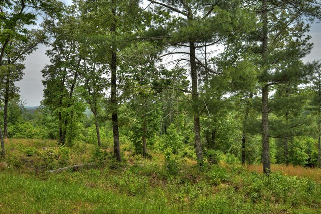 3.20 ac Hidden Acres, Blue Ridge, GA 30513