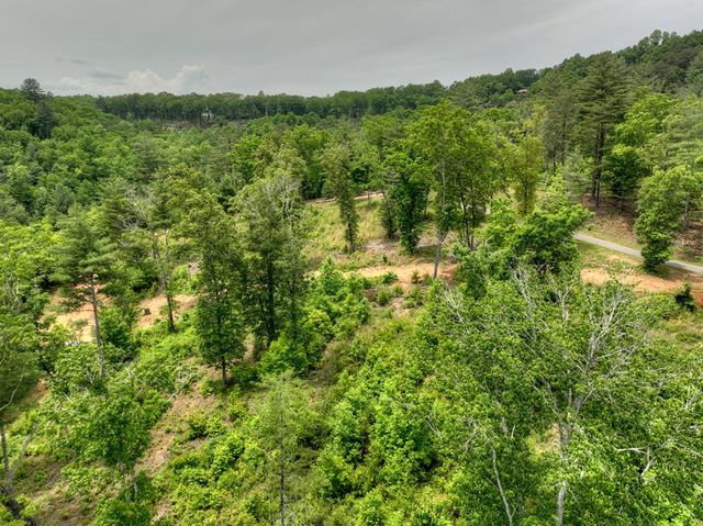 3.20 ac Hidden Acres, Blue Ridge, GA 30513