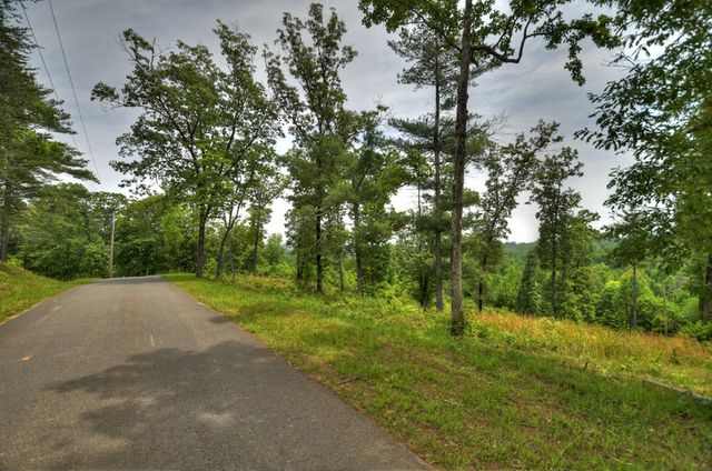 3.20 ac Hidden Acres, Blue Ridge, GA 30513