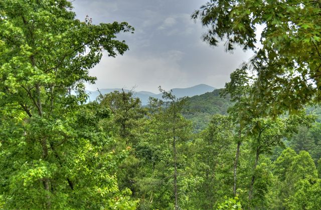 3.20 ac Hidden Acres, Blue Ridge, GA 30513
