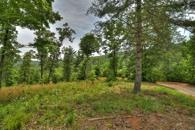 3.20 ac Hidden Acres, Blue Ridge, GA 30513