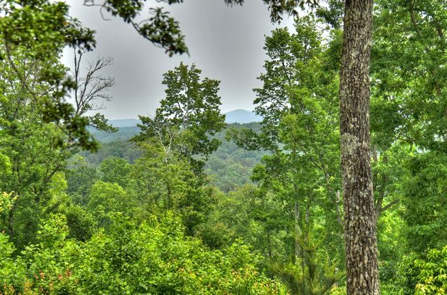 3.20 ac Hidden Acres, Blue Ridge, GA 30513