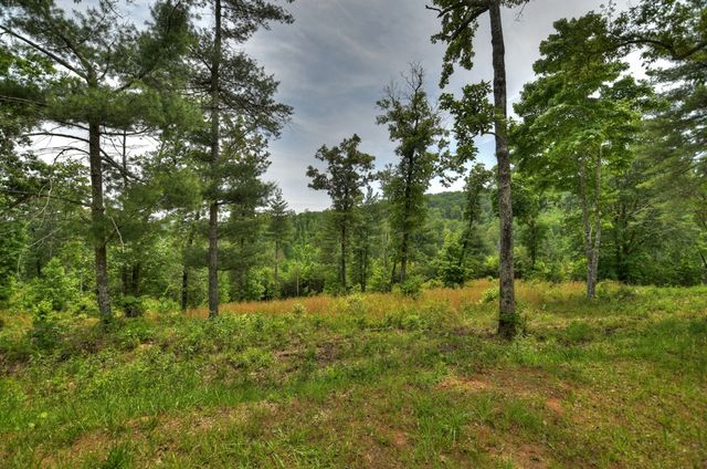 3.20 ac Hidden Acres, Blue Ridge, GA 30513
