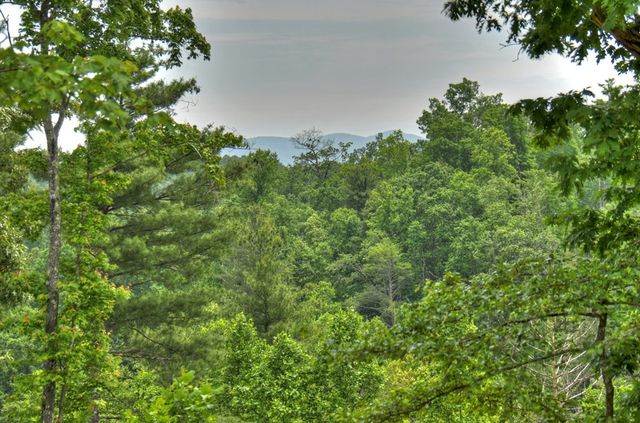 3.20 ac Hidden Acres, Blue Ridge, GA 30513