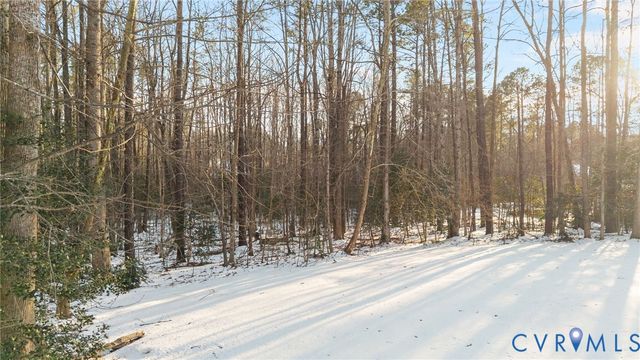 13501 Corapeake Pl, Chesterfield, VA 23838