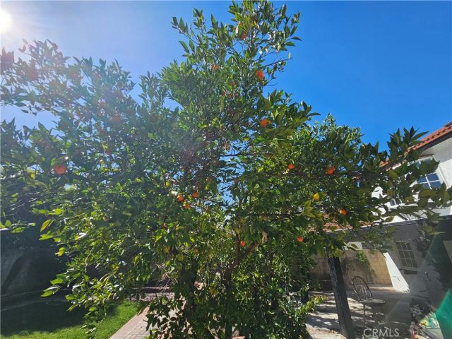 12524 Bryce, Cerritos, CA 90703