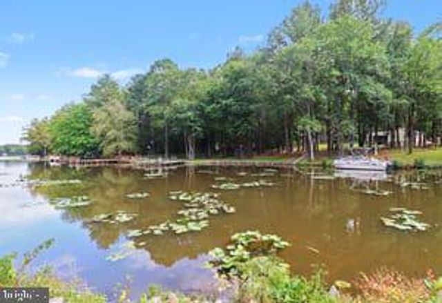 133 NEW PROVIDENCE DR, Ruther Glen, VA 22546