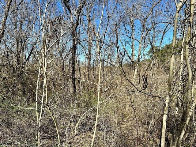 0 Fisher Ridge Rd, Tract 6, Fleming, OH 45729