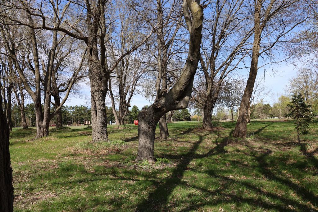 1824x Greenbrook Dr NE, East Bethel, MN 55092 — photo 5