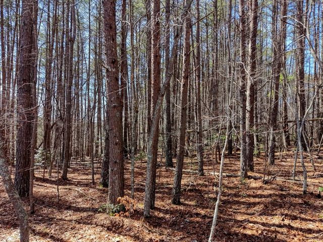 3.07 Acr Sunset Drive, Blairsville, GA 30512