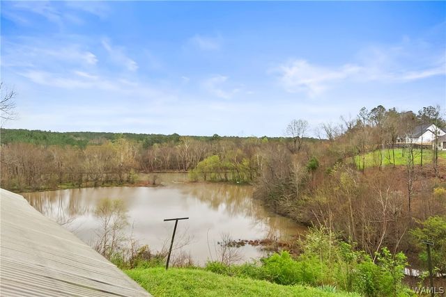 17385 Spencers Cove, Northport, AL 35475