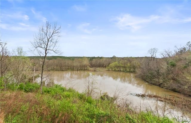 17385 Spencers Cove, Northport, AL 35475