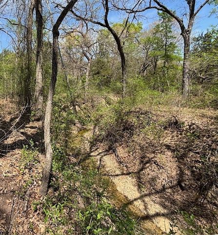 1255 Eagles Bluff Drive, Weatherford, TX 76087