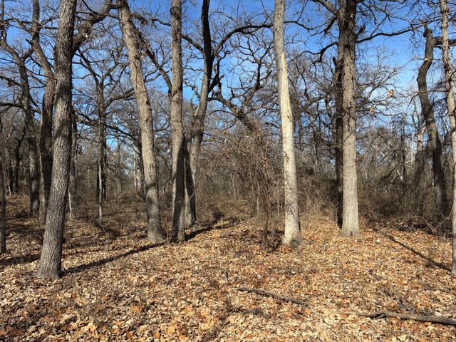 1255 Eagles Bluff Drive, Weatherford, TX 76087