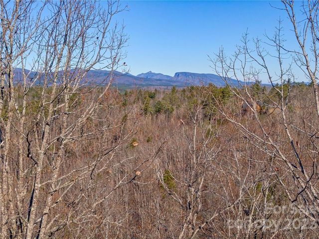 138 & 139 High Trail Drive, Nebo, NC 28761