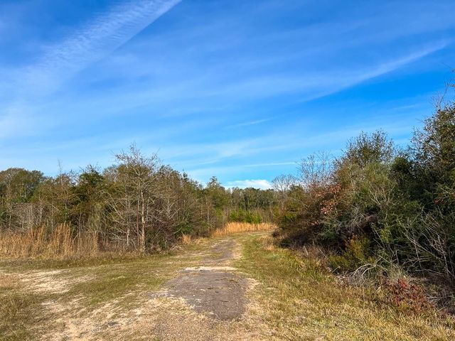 T-4 Tall Cotton Road, Saratoga, TX 77585