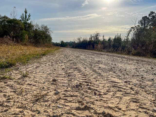 T-4 Tall Cotton Road, Saratoga, TX 77585