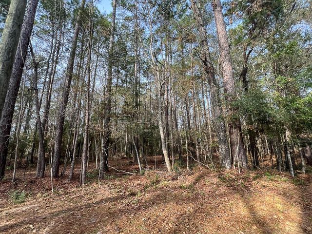 T-4 Tall Cotton Road, Saratoga, TX 77585