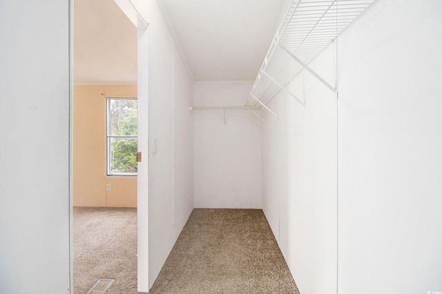 3804 Stern Dr., Conway, SC 29526