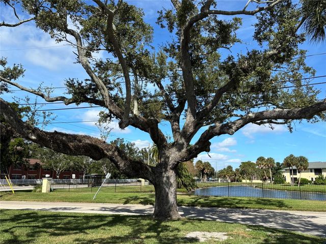 5815 ERIN LANE S A, St Petersburg, FL 33712