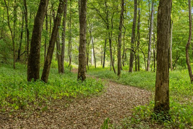 12 Sturgeon Creek Road, Cedar Hill, TN 37032