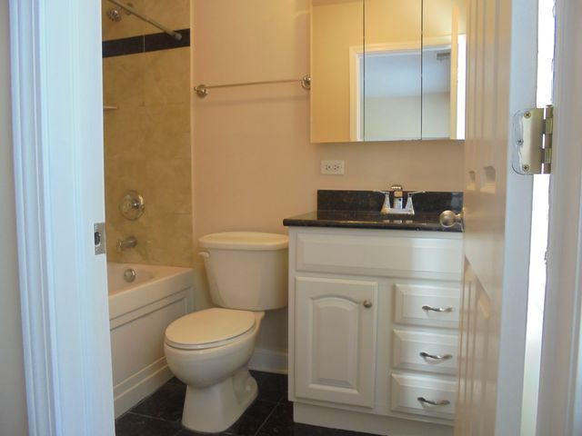 1711 W Jarvis Avenue 102, Chicago, IL 60626