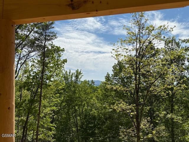 1541 Ski View Ln Lane, Sevierville, TN 37876