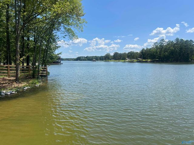 Lot 10 County Road 595, Cedar Bluff, AL 35959
