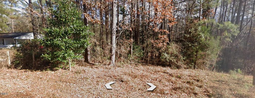 1401 Carroll Heights Road, Zebulon, NC 27597