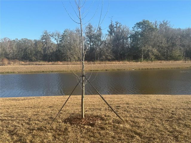 18238 PLEASENTVILLE BOULEVARD, Land O Lakes, FL 34638