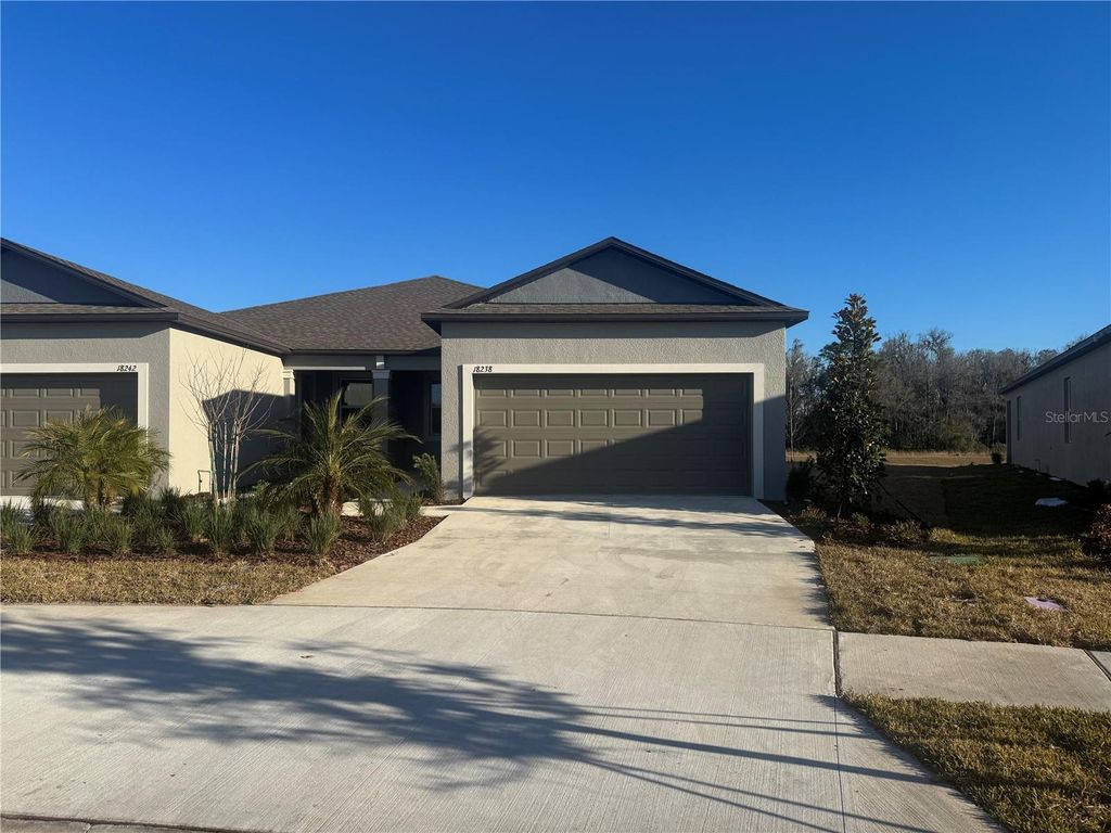 18238 PLEASENTVILLE BOULEVARD, Land O Lakes, FL 34638