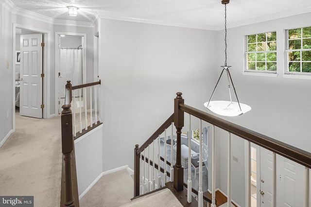 6111 DRY LEAF PATH, Columbia, MD 21044