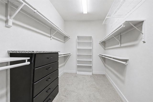 209 Bright Bluff Circle, Waller, TX 77484