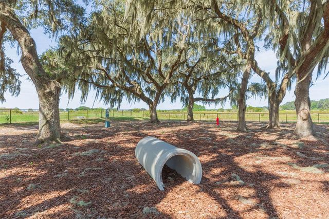 31088 JAZZ LEAF PLACE, San Antonio, FL 33576