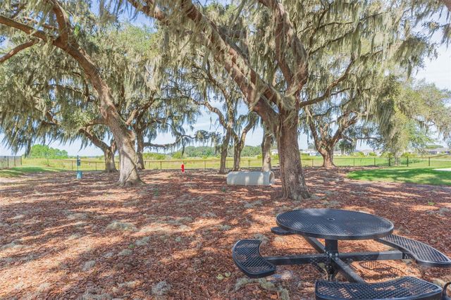 31088 JAZZ LEAF PLACE, San Antonio, FL 33576