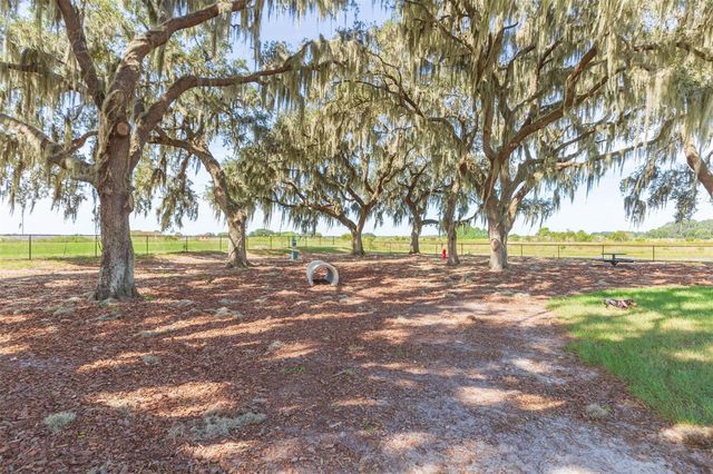 31088 JAZZ LEAF PLACE, San Antonio, FL 33576