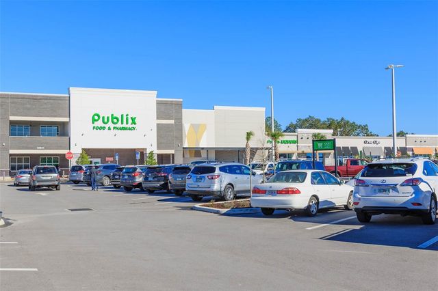 31088 JAZZ LEAF PLACE, San Antonio, FL 33576