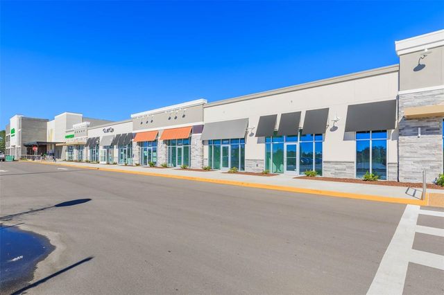 31088 JAZZ LEAF PLACE, San Antonio, FL 33576