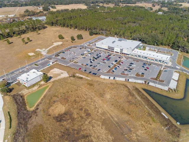 31088 JAZZ LEAF PLACE, San Antonio, FL 33576