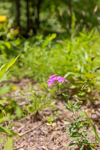 27 Highway 157, Menlo, GA 30731