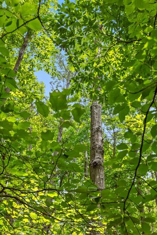 27 Highway 157, Menlo, GA 30731