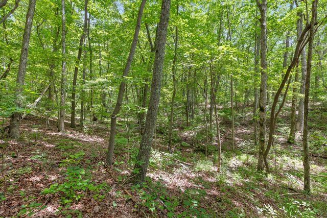 27 Highway 157, Menlo, GA 30731